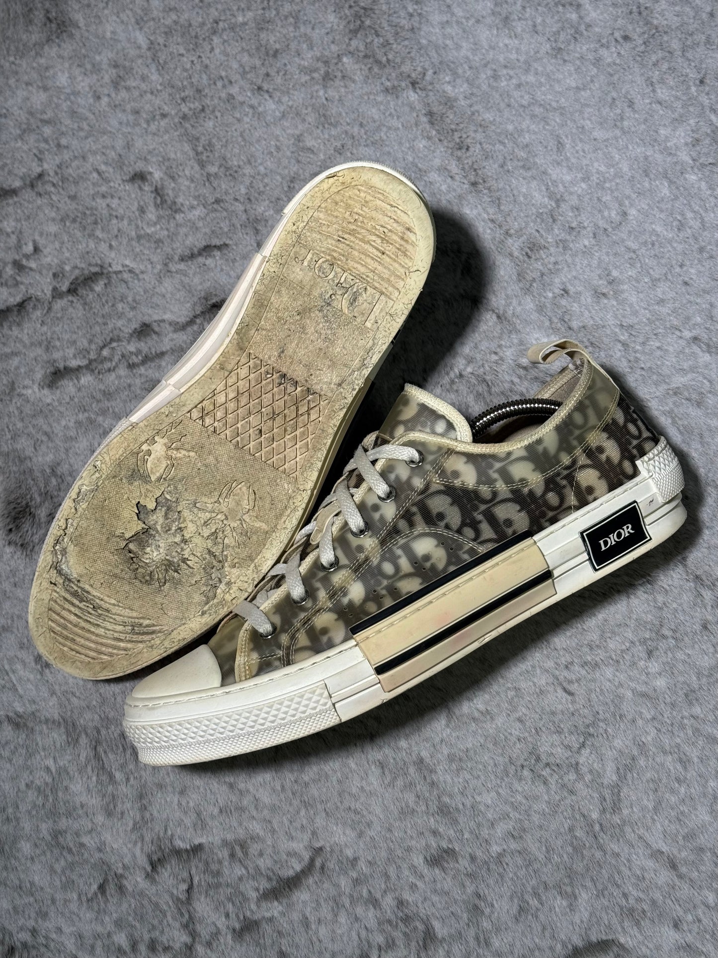 Dior B23 Low Top Logo Oblique