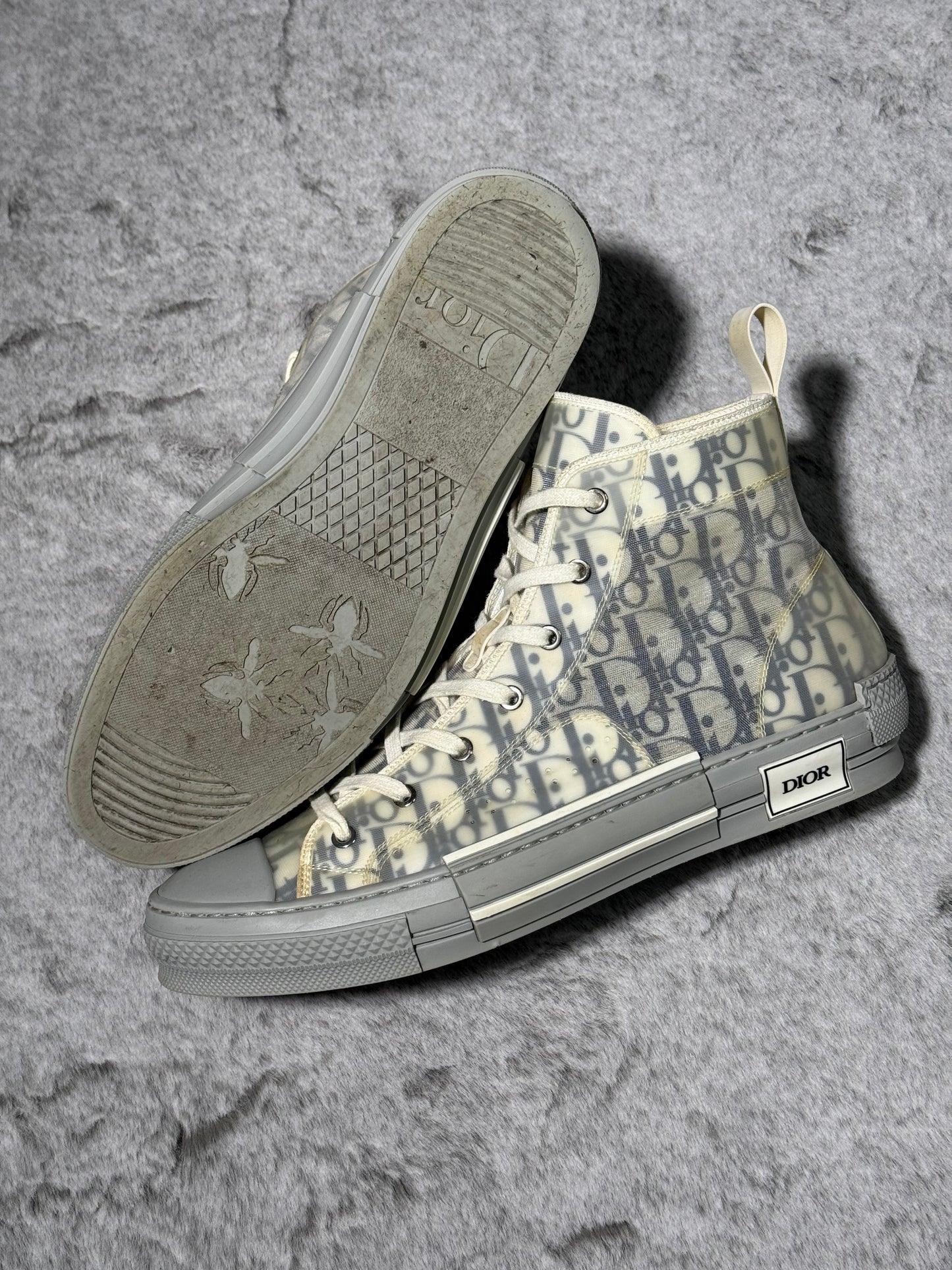 Dior B23 High Top Logo Oblique